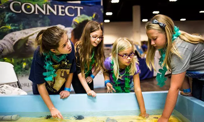 Admission for One or Two to Shark Con on July 11–12 (Up to 42% Off)  - Primary Image