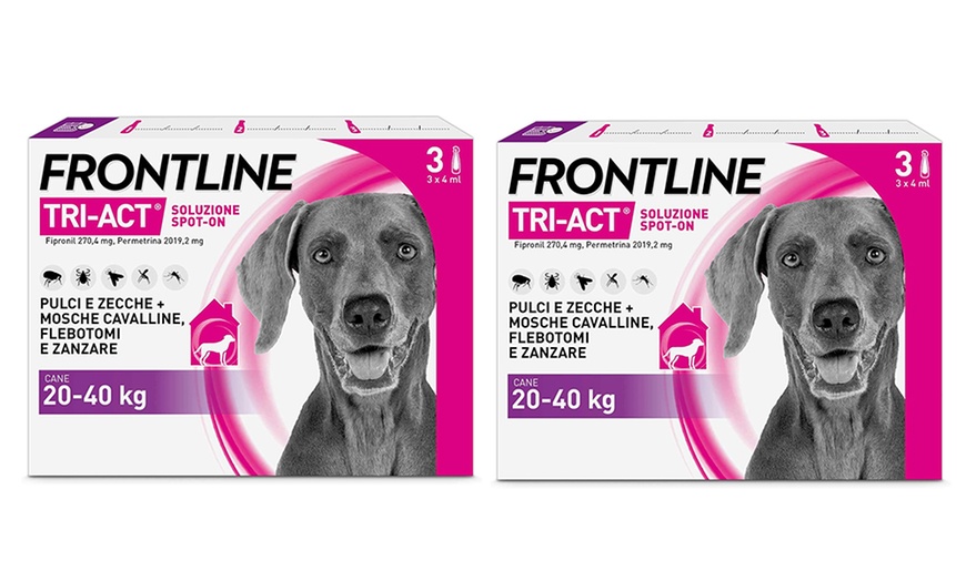Image 19: Fino a 12 pipette Frontline Tri-Act® Spot-on per cani