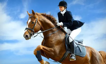Two or Four Private Horseback-Riding Lessons at Elite Sporthorse (Up to 58% Off) - Primary Image