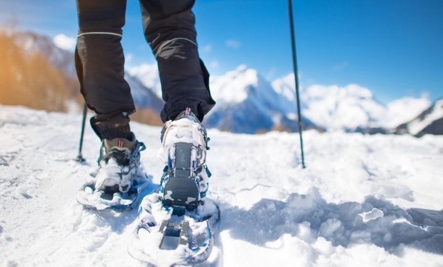 Image 2: Excursión de 4 horas con raquetas de nieve para 2 o 4 personas