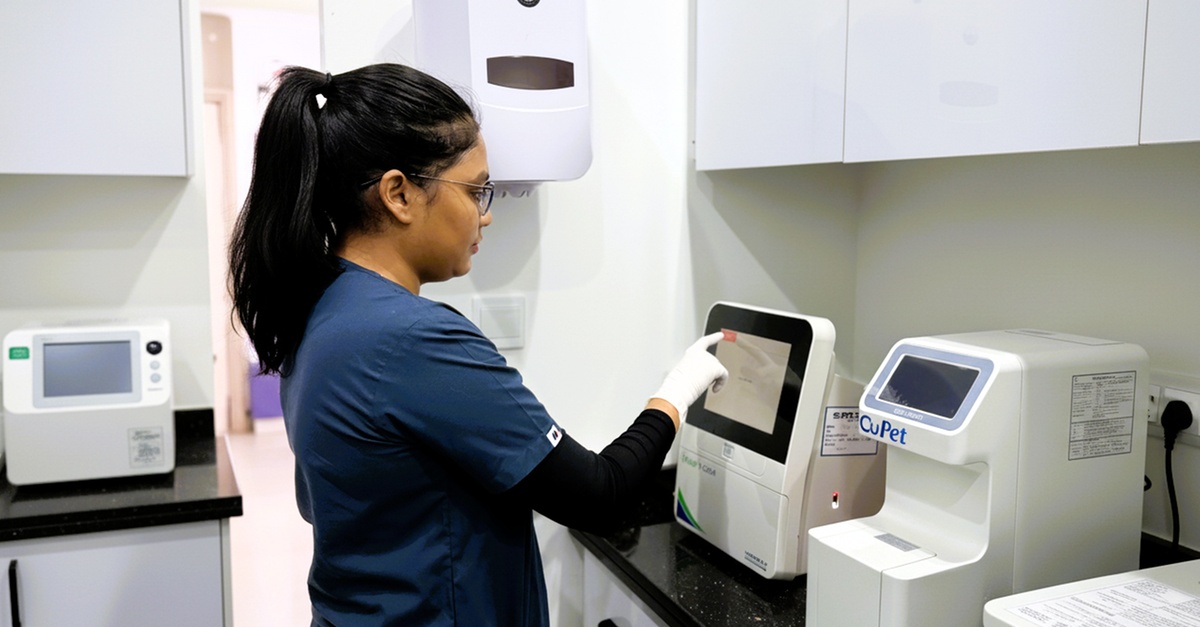 Comprehensive Vet Care: Vaccinations, Surgeries, X-rays For Pets Comprehensive Vet Care: Vaccinations, Surgeries, X-rays For Pets