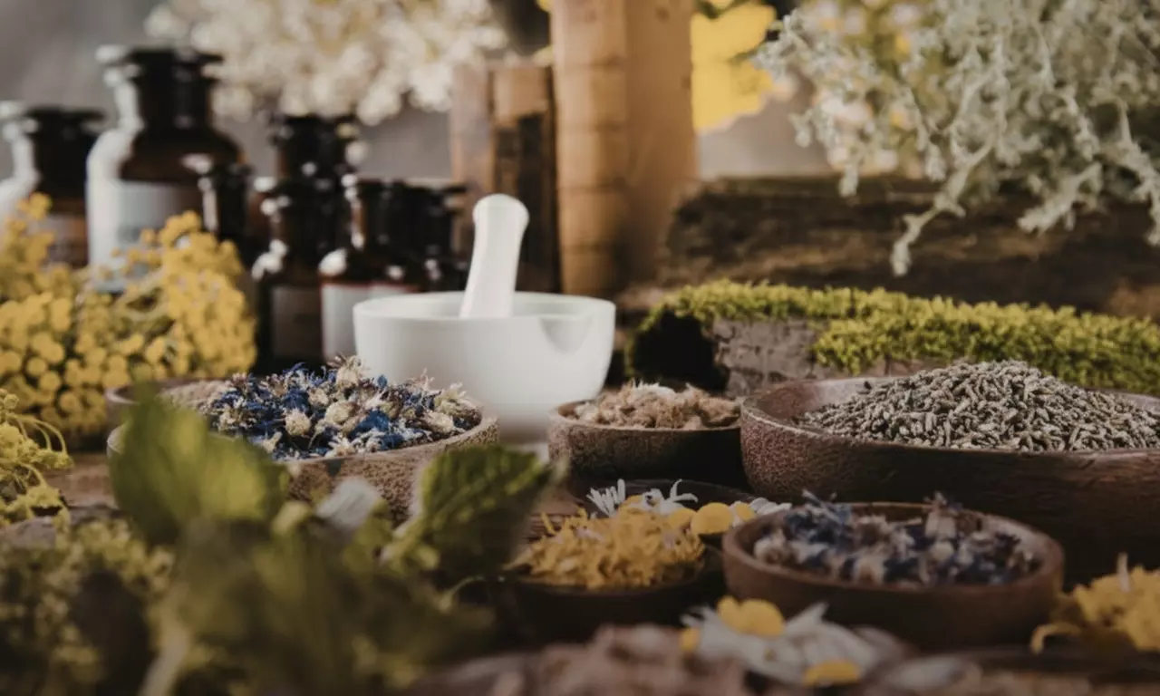 Learn Training for Holistic Medicines or Essential Oils at Khan Education - Up to 52% Off - Image 2