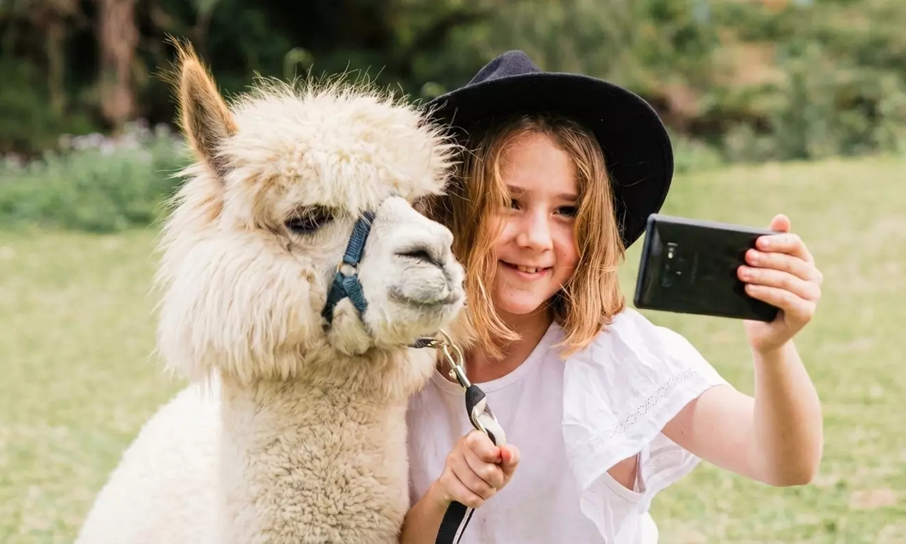 30-Min Alpaca VIP Experience: Alpaca w/ Lanyard & $5 Voucher for 1-6