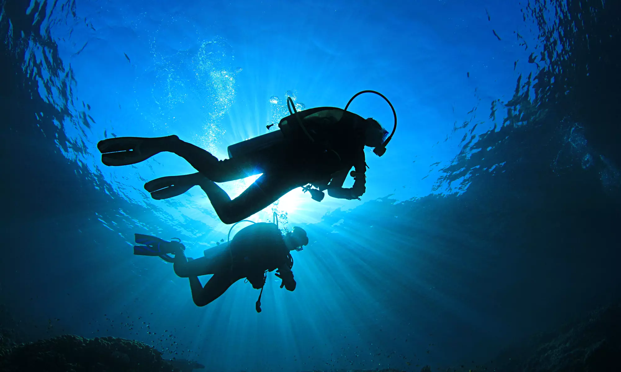 Discover Scuba Diving Course for One or Two, or $200 Towards Any Course at Ocean Pro Divers (Up to 51% Off) - Primary Image