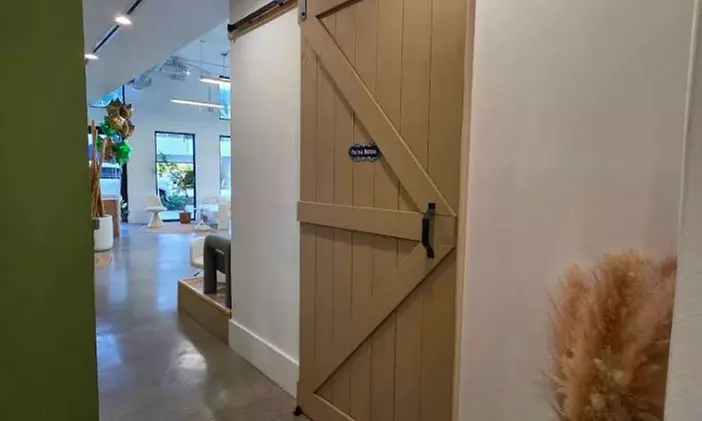 Classic, Hybrid or Volume Eyelash Extensions