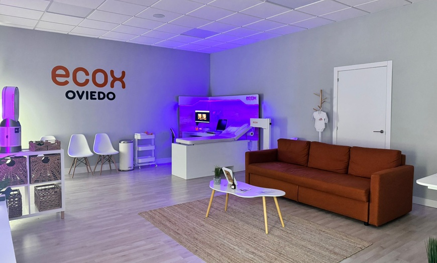 Image 7: ¡Conoce a tu bebé! Ecografía emocional 5D o 8K con vídeo y canastilla