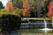 Two-Night Stay at Colonial Crossings Of Williamsburg in Williamsburg, VA - Second Medium