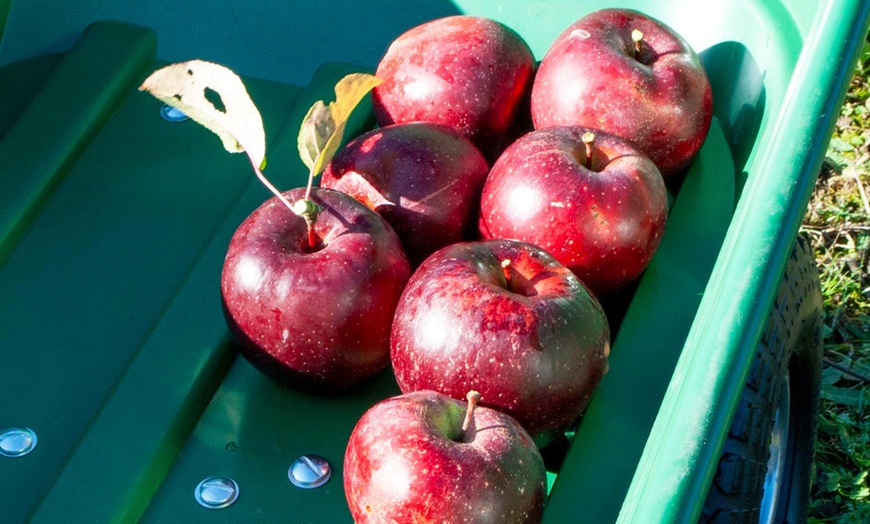 Image 4: Heavy-Duty Tipper Garden Cart