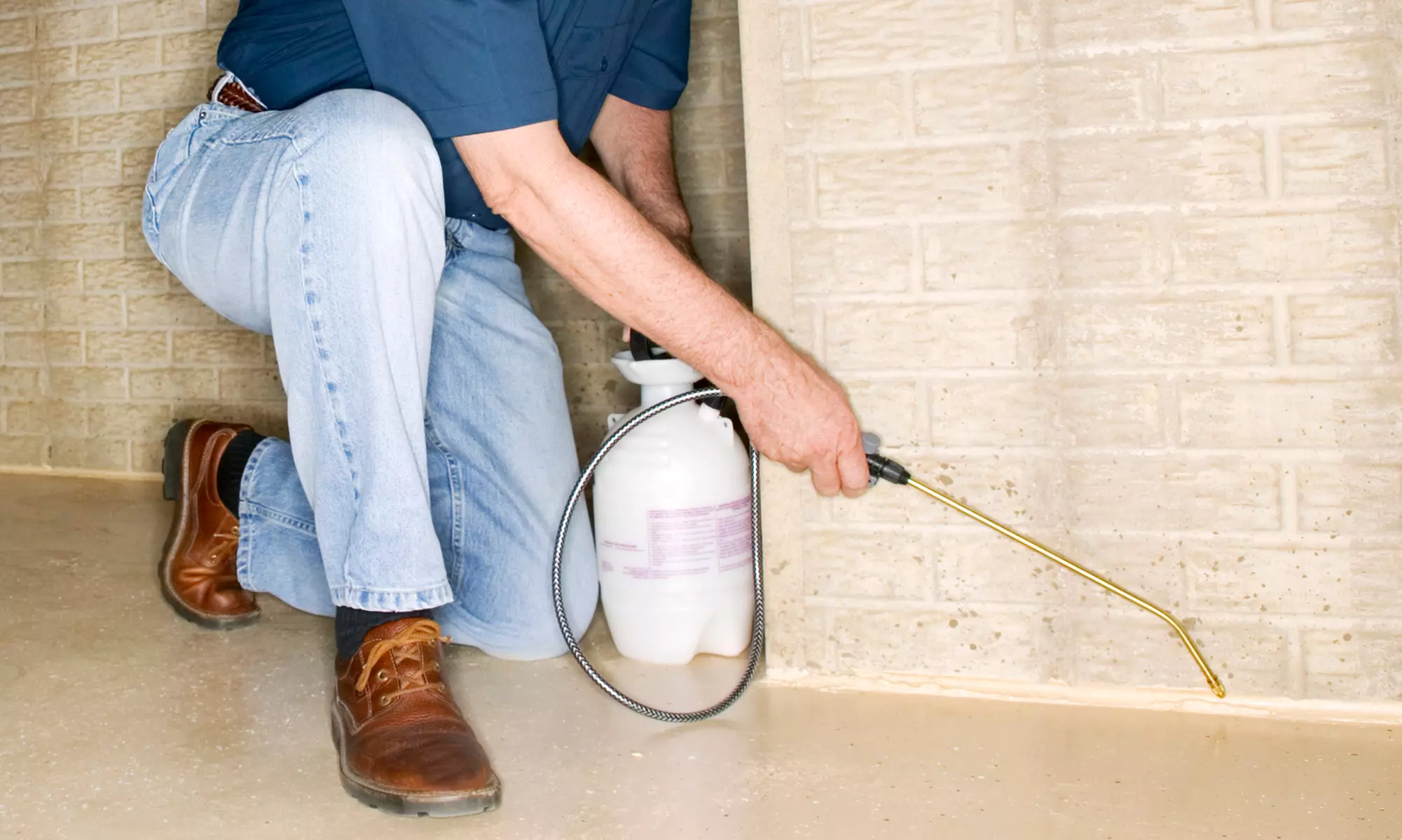 Indoor and Outdoor Treatments from Horizons Professional Pest Control (Up to 80% Off). Four Options Available. - Primary Image