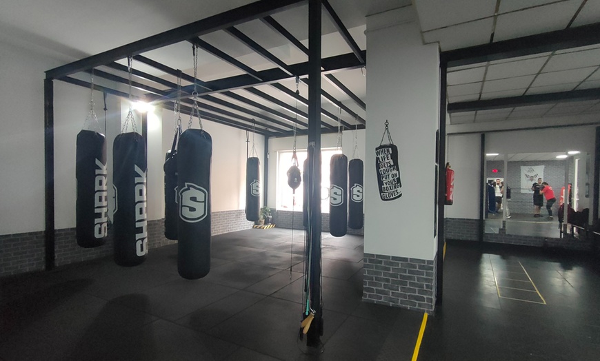 Image 4: 1 o 2 clases individuales de boxeo 