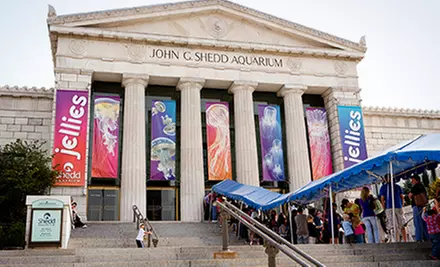 Two or Four Total Experience Passes to Shedd Aquarium (﻿47% Off) - Second Medium