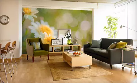 $49 for $150 Toward Murals from Murals Your Way - Primary Image