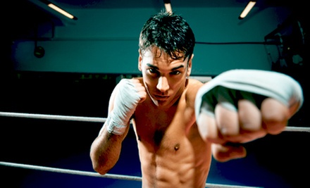 $29 for a Two-Month Membership with Unlimited Martial-Arts and Boxing Classes and Gym Access at Und1sputed (Up to $365 Value) - Primary Image
