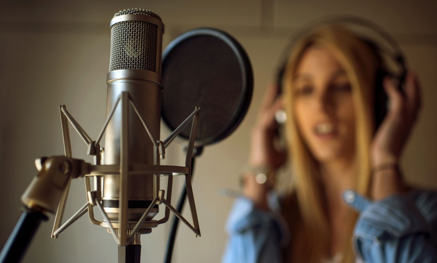 Image 2: 4 Hours of Hosted Mobile Karaoke or Recording of 10 Karaoke Tracks