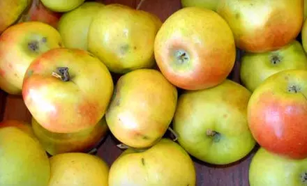 $15 for $30 Worth of Produce, Specialty Groceries, and More at Amish Healthy Foods - Primary Image