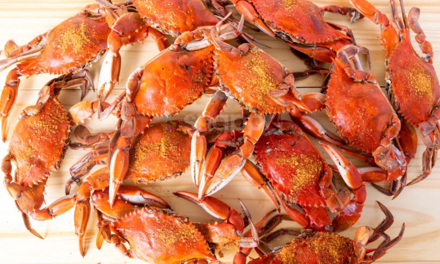 Premium Jumbo Maryland Blue Crabs - Perfect Gift!