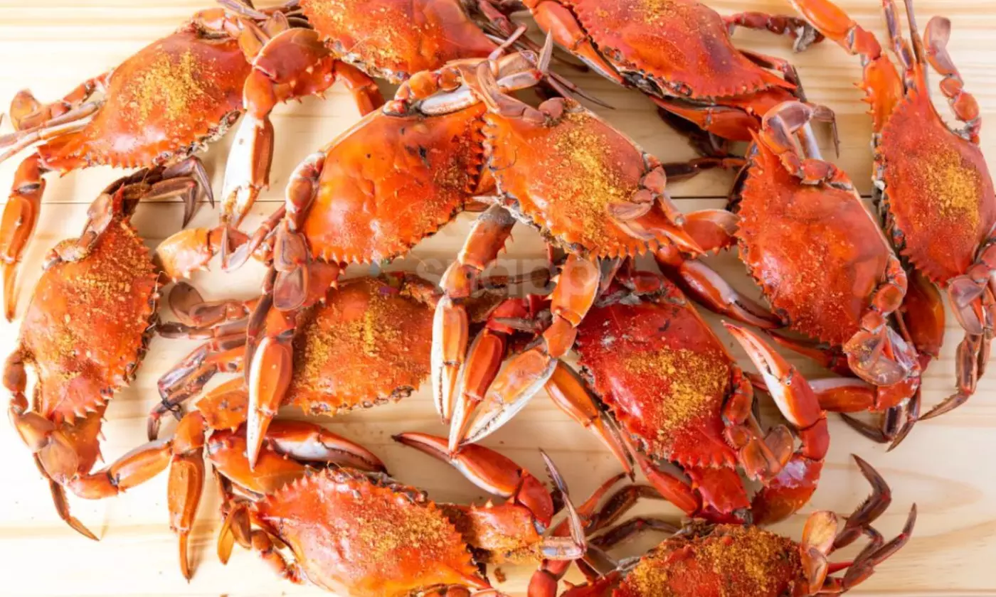 Premium Jumbo Maryland Blue Crabs: Choose 12 or 24. Perfect Gift for Seafood Lovers!