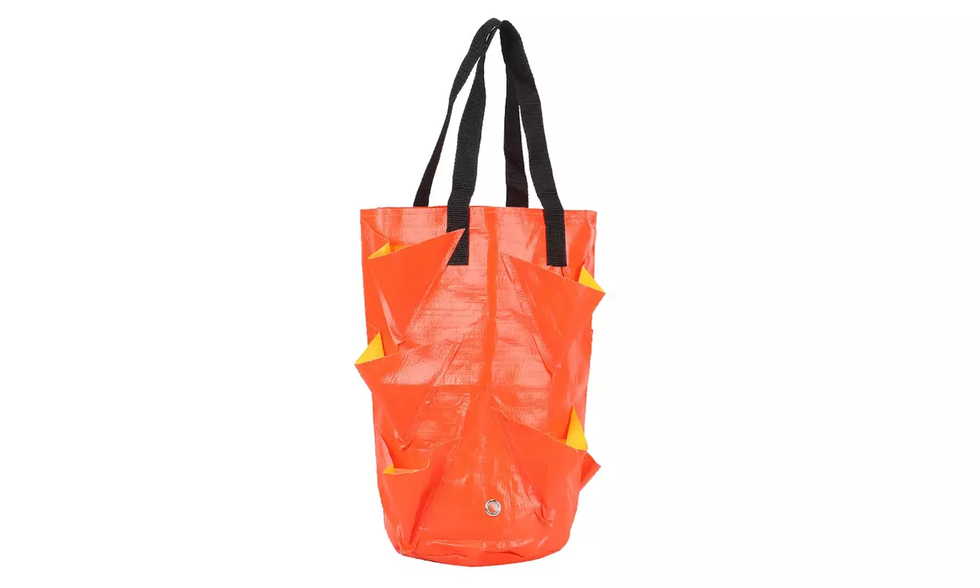3 Gallon Strawberry Grow Bag Strawberry Plant Bag with 8 Side Planting Pockets