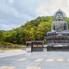 Image 6: South Korea: 12-Day Journey with Air & Hotel