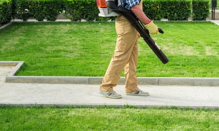 Three Man Hours of Landscaping Service for Yard Clean Up - Duer Does it Green LLC