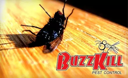 $34 for a One-Time Inside Spray and a Granular Perimeter Treatment with a 60-Day Guarantee from Buzz Kill Pest Control ($89.95 Value)  - Primary Image