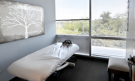 One 30-Minute Lymphatic Drainage with Vibration Treatment - Mesan Wellness