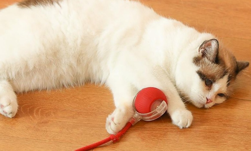 Image 4: Interactive Electric Cat Toy