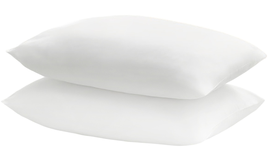 Image 4: Silentnight Forever Fresh Anti-Allergy Pillows