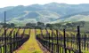 Hotel Stay with Wine Store Credit at La Quinta Inn & Suites Paso Robles in California