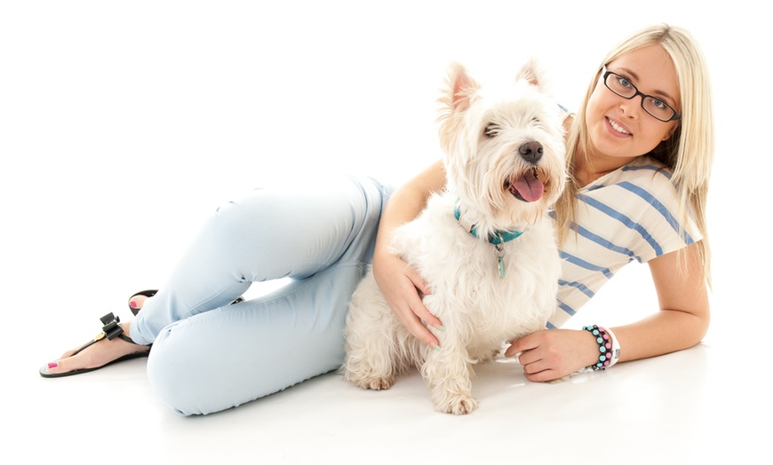 Image 7: Pet-and-Owner Photoshoot