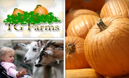 SOLD OUT: $8 for Two General-Admission Tickets to Pumpkin Patch and More at TG Farms ($17.44 Value) - Primary Image
