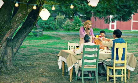 Up to One Half or Full Acre of Mosquito Barrier Spraying from Mosquito Squad (Up to 63% Off) - Primary Image