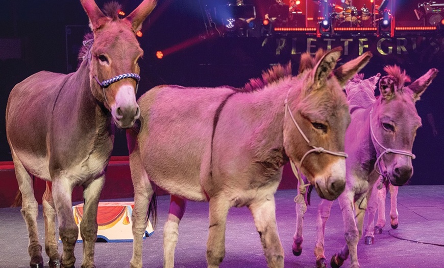 Image 6: Cirque Borsberg : acrobaties & féérie à Saint-Lô en dec. / janv.