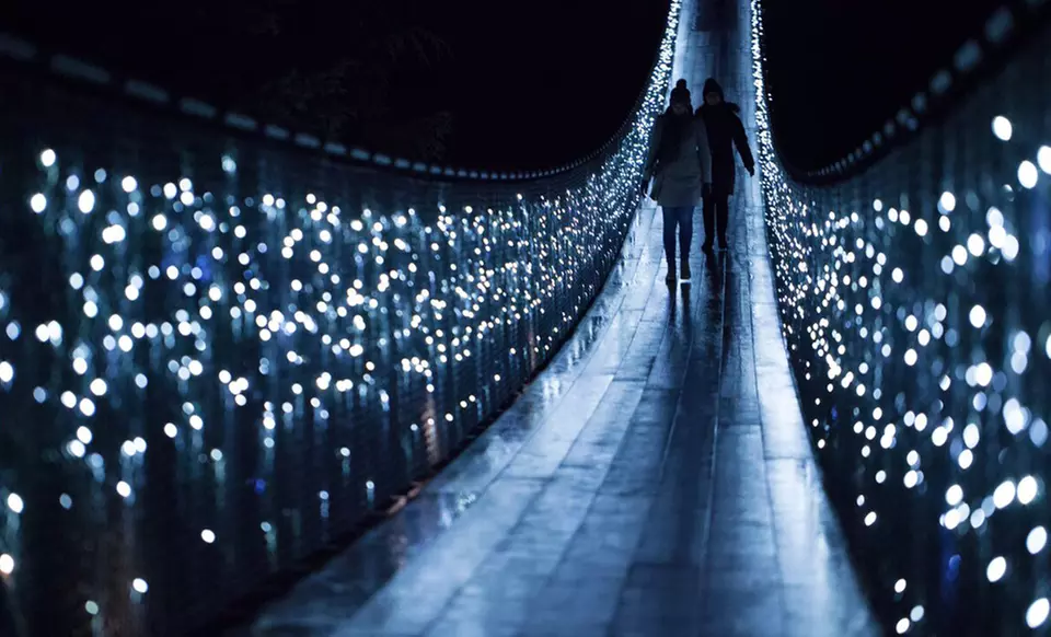 Christmas Light Tour of Vancouver City and Capilano Suspension Bridge or Victoria and Butchart Gardens (Up to 26% Off)   - Second Medium