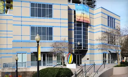 One-Year Membership for an Individual or Family to The Mary Brogan Museum of Art and Science  - Primary Image