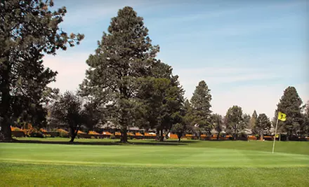 Two Private, 30-Minute Lessons or an 18-Hole Round of Golf for Two at Meadowlawn Golf Course (Half Off) - Primary Image