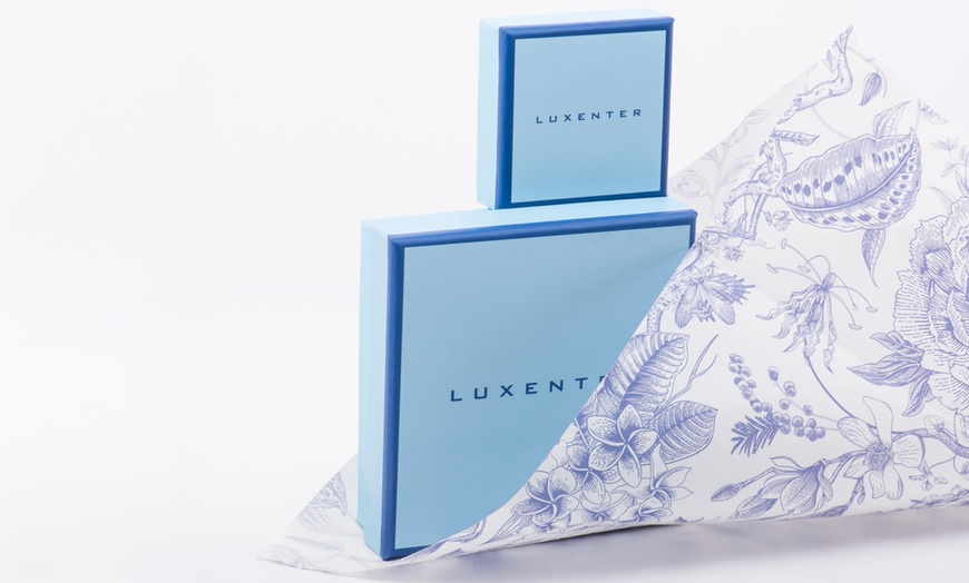 Image 4: Luxenter oorbellen 'Firmou'