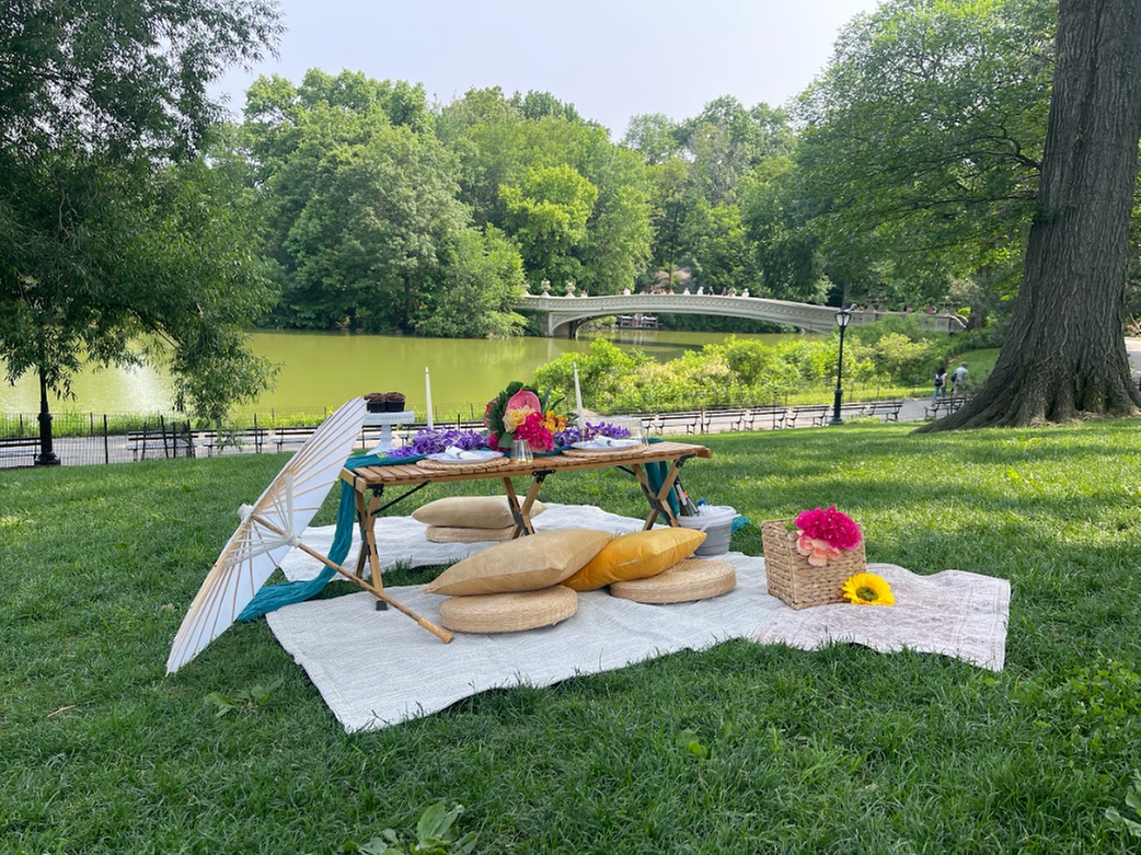 Central Park Picnic Experience with Custom Themes!