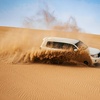 Image 16: Half-Day Desert Safari: 1, 2, 4 Persons with VIP Mrng or Evng Option