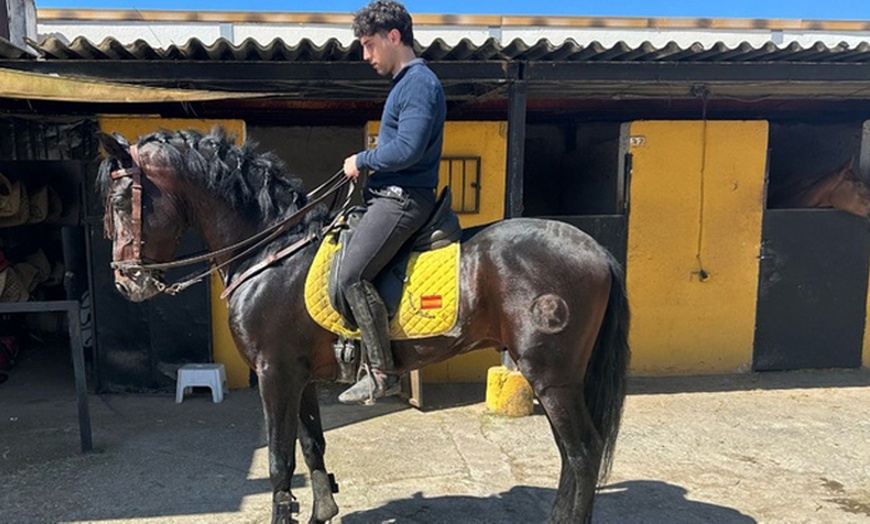 Image 2: Descubre la equitación con 6 clases de hípica para 1 o 2 personas