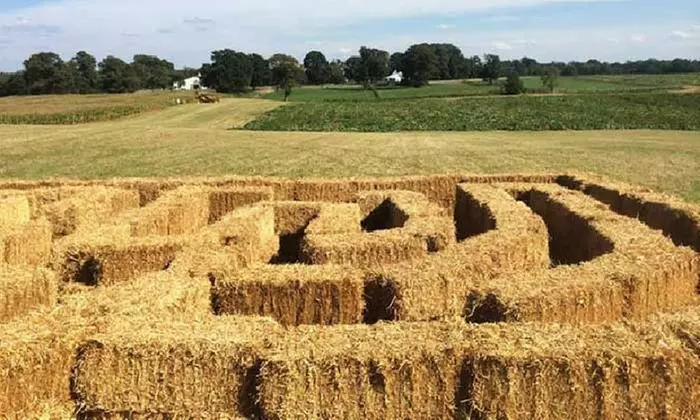 Family Fun Package at the Farm with Hayride, Corn Maze, Games & More