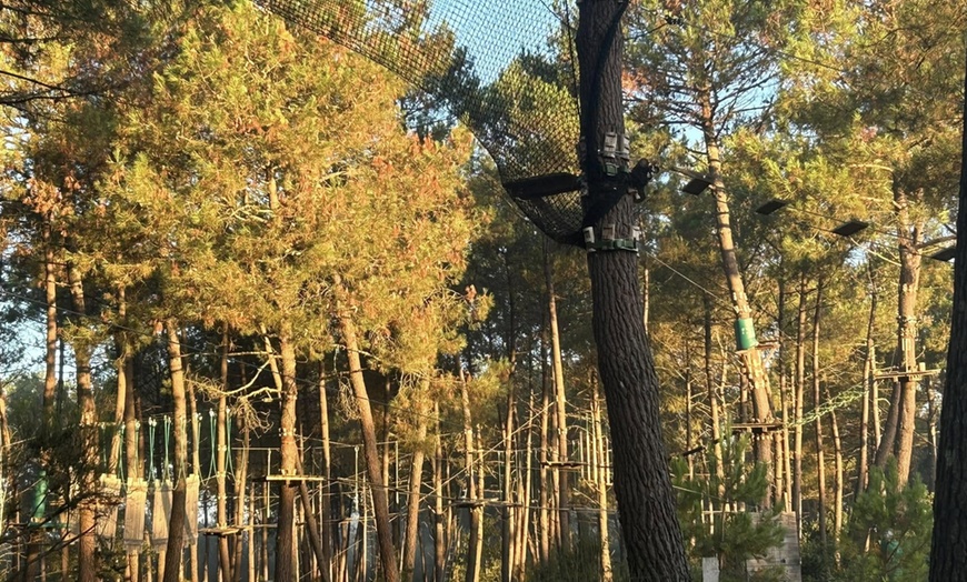 Image 5: Séance d'accrobranche de 2h ou Fermi'Fun à l'Animalia Parc