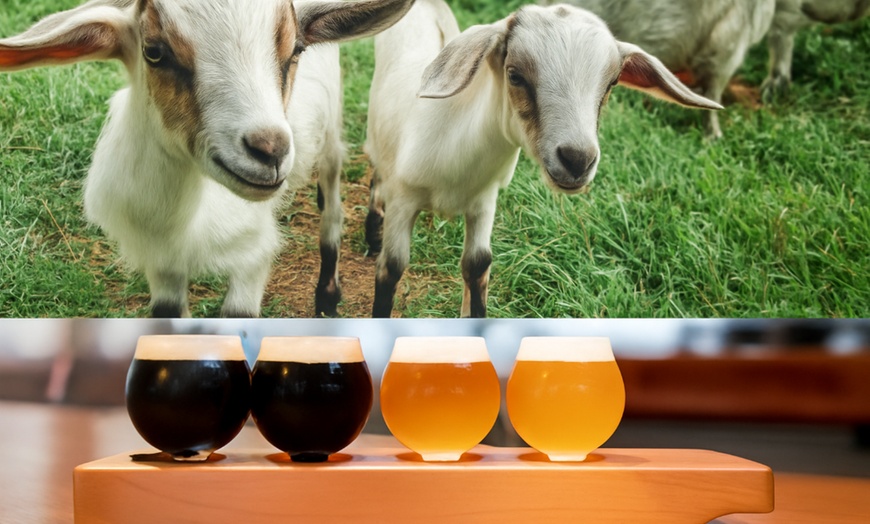 Image 1: Brews and Baahhs for Two, Three, Four, Five, or Six