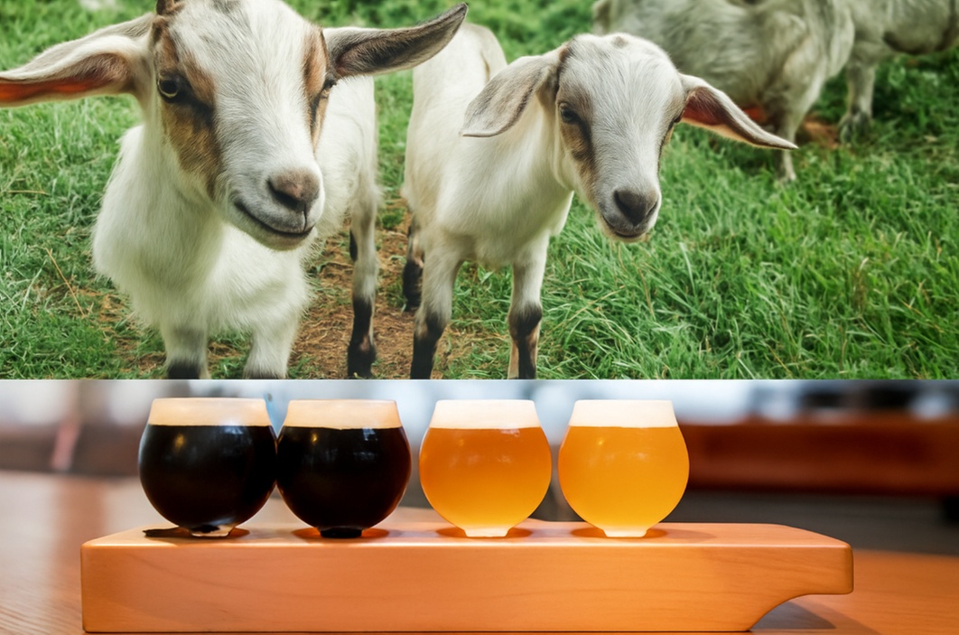Brews and Baahhs for Two, Three, Four, Five, or Six