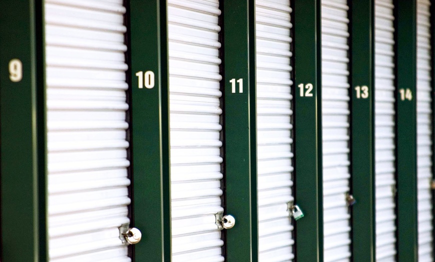 surf locker