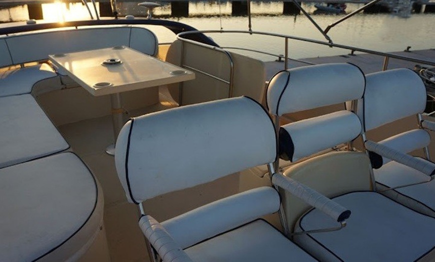 Image 8: Excursión de 2 horas en yate exclusivo para ver ballenas y delfines 