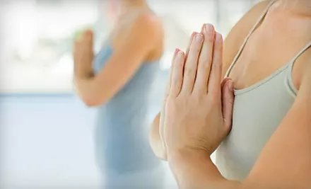 $29 for One Month of Unlimited Classes at Trinity Yoga Studio in New Port Richey ($99 Value) - Primary Image