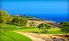 $45 for a Private Nine-Hole Golf Lesson with a Professional Golfer from Executive Links ($100 Value)