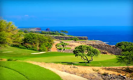 $45 for a Private Nine-Hole Golf Lesson with a Professional Golfer from Executive Links ($100 Value) - Primary Image