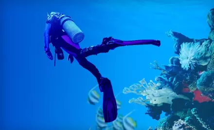 $12 for a Beginners' Scuba Session at Underwater Playground  in Edgewood ($25 Value) - Primary Image
